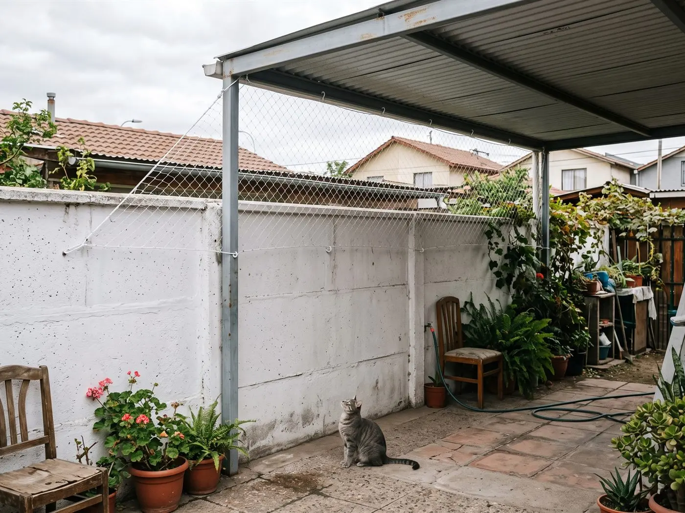 Malla cerrando el espacio entre la pandereta y el techo del cobertizo de un patio, con un gato sentado abajo